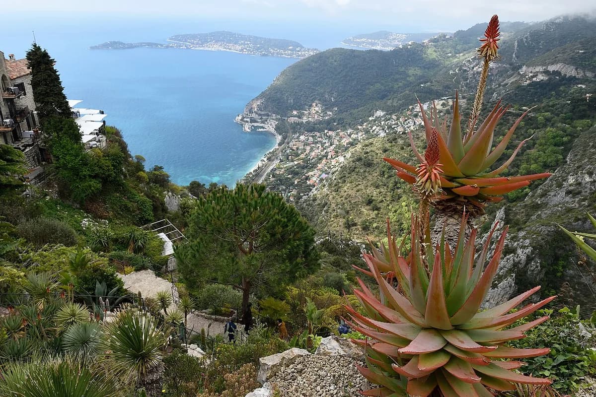 Èze & Saint-Jean-Cap-Ferrat : jardins et vues sur la Méditerranée
